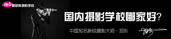 羽东图 - 副本.jpg